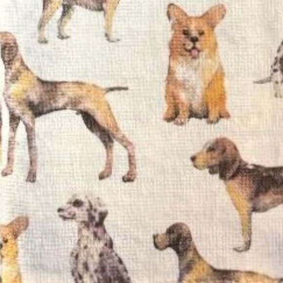 NWT 3 PACK ADORABLE DOGS CORGI BEAGLE DALMATION POINTER + BROWN ABSORBENT TOWELS - Picture 14 of 16